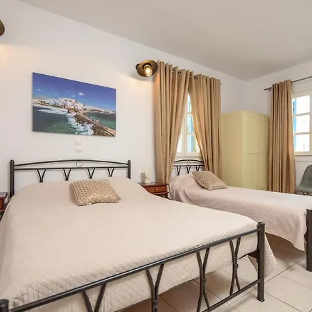 Irene 2 شقة فندقية Naxos City